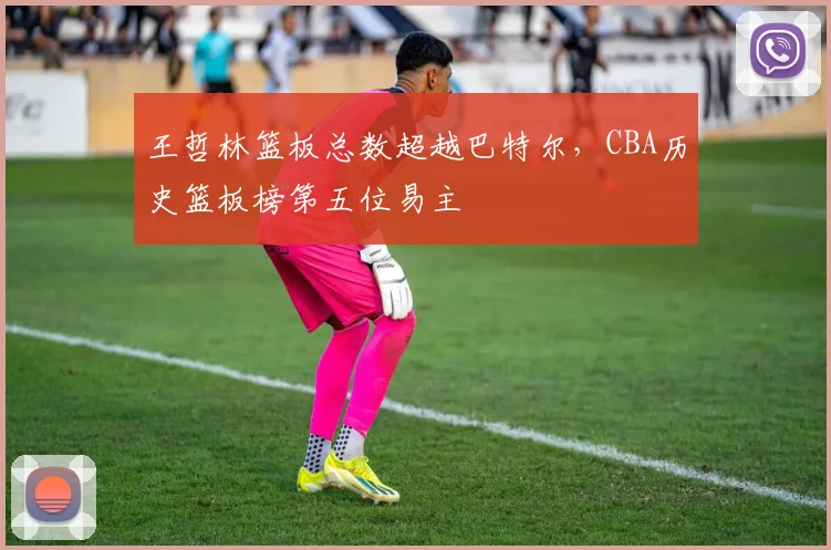 王哲林篮板总数超越巴特尔,CBA历史篮板榜第五位易主